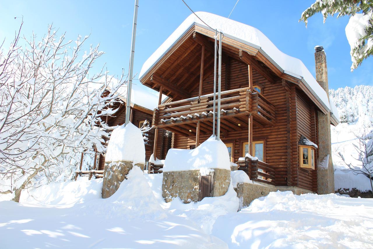 Paradise Chalet 上特里卡拉 外观 照片